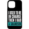 Funny Family & Parenting Humor Designs Custodia per iPhone 13 Pro Max Ho usato per essere al comando, poi ho avuto un nipote divertente