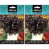 Semillas Batlle Battle - Semi Aromatici Basilico Viola (Semi - 30Cm) (Confezione da 2)