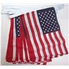 AZ FLAG Festone Stati Uniti 3 m 10 bandiere Poliestere Leggero 21x15 cm