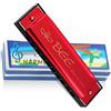 TaimeiMao Armonica a Bocca Bambini,Blues Harmonic 10 Fori