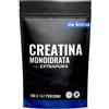 Gym Nutrition Creatina Monoidrata 500g 147 Porzioni Extrapura & Senza Impurità per fitness