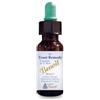 ALCHIMIA BENOIT Srl Soluzione Idroalcolica Clorofilla integratore 50 ml