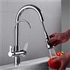 Fetcoi Rubinetto da cucina con doccetta estraibile, 3 in 1, rubinetto da cucina per filtro dell'acqua, rubinetto da cucina a 3 vie, rubinetto da cucina, 2 leve