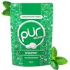 PUR Gum PUR Mints | Caramelle alla menta Senza Aspartame | Dolcificate con Xilitolo | Senza Zucchero, Vegane, Senza Glutine | Gusto Naturale Menta Verde | 65 Pezzi in Bustina Richiudibile (1 Confezione)