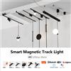NONE T26 Extra Smart Lampada da binario magnetica Dimmerabile Montaggio superficiale a soffitto LED in alluminio DC48V Alexa Tuya Zigbee Spot di inondazione Nero Bianco