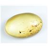 Gemsmyriad 100% Naturale Tanzania Giallo Ambra 6.10 CT Non Trattati Certificato S Insetto