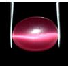 Naturale 16.75 KT Rosa Gatto Occhio Ovale Cabochon Gemma Certificato C3084 Best