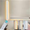 ZTWLEED Applique da Parete Interno Dimmerabile,22W LED Lampada da Parete con Telecomando 2.4GHz,Applique da parete Moderno Lunga per Soggiorno Camera da Letto Scala Corridoi Bianco 60CM 110-240V