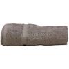 Gabel SET SPUGNA PURO COTONE IDROFILO COLORE (FERRO) N° 1 ASCIUGAMANO CM 60X100 N° 1 OSPITE CM. 60X40 MADE IN ITALY