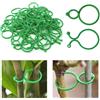 Aikeis Set di 200 fermagli per piante rampicanti, clip per piante rampicanti, clip per piante da giardino, supporto per piante, adatte al tuo orto