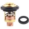 DBWOZER 66M-12411 Termostato 60 Gradi per Motore Fuoribordo 4 Tempi F5-F15 66M-12411-00 6M-12411-01 Motore per Barche