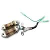 DBWOZER 66M-85533-00 -85533-10 F15-07000400 Bobina di Illuminazione Carica per Parsun HDX Makara 9.9HP 15HP T9. F9. F15