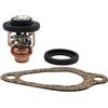 SzxJkmf Kit di servizio di riparazione termostato adatto for motori fuoribordo 4 Str 8-30HP 855676002 8M0119207 8M0139434 855676005 18-43175