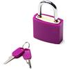 Yinpecly 1 lucchetto con chiave in ABS, lucchetto impermeabile per valigie con chiavi, serratura antiruggine per esterni, per armadi, cassetti, larghezza 2,2 cm, in lega di zinco, con chiave viola