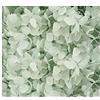 Plant Gift Fiori secchi di ortensia ciano chiaro, piccole foglie conservate, decorazione per artigianato fai da te, accessori materiali, fiori pressati per candele, artigianato, matrimoni, fai da te, bigliettini