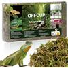 OFFCUP Sfagno per Piante 300g Muschio di Sfagno Terrario Rettile Compresso Sphagnum Moss di Alta qualità per Rettili Muschio Verde Vivo per Terrari Schiusi Sfagni Forestali Substrato
