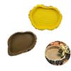 Winterworm Set di 2 rettile tartaruga ciotola per l' acqua cibo ciotola mangiatoie per anfibi Gecko serpenti lucertola camaleonte