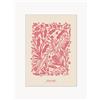 POSTER & FRAME Stampa incorniciata Salmon Rose Garden