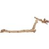 Exo Terra PT-3077 Legno della Foresta Large 60CM Exo Terra Ramo per terrario