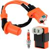 QWORK® Bobina di Accensione Candela Sistema di Accensione per GY6 50CC 125CC 150CC ATV Scooter Moto Motor Dirt Bike