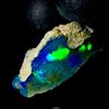 OPAL EMPIRE Opale Naturale Grezzo Etiopia Nero Fire Opal 7 Carati 20x13 mm