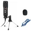 AUDIO DESIGN PRO AUDIODESIGN PRO PA MC USB2 MICROFONO USB A CONDENSATORE CON ACCESSORI