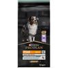 PURINA Pro Plan Grain Free Adult Medium Large Sensitive Digestion Digest 12kg