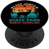 KAEDAM Gifts: State Parks Lake James State Park North Carolina Retro Tramonto Souvenir PopSockets PopGrip Adesivo
