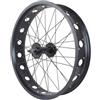 LSRRYD 20 24 26 E-Bikes Ruota Anteriore 4.0" Pneumatico Largo 6 Bulloni Freno A Disco, Mozzo Di Tipo Bolt-on, Cerchio In Lega Di Alluminio Per Bici Da Neve/spiaggia 36 Fori A/V(20)