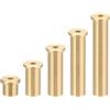 YELARXI Pesi con punta in ottone da golf, accessori per testa di mazza, inserto riutilizzabile, picchetto ponderato da golf, per albero in acciaio, legno, ferro, 5 pezzi e 2/4/6/8/10 g, adatti per