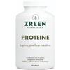 NORSAN Srl ZREEN PROTEINE 1080 G