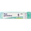Boiron Ruta Graveolens 6ch 80 Granuli Contenitore Multidose