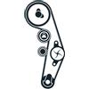 SKF VKMA 01250 Kit Tendicinghia Distribuzione | Compatibile con: AUDI A2, A3, A3, A3 Cabriolet, A3 Sportback, A4 B6, A4 B6 Avant, A4 B7, A4 B7 Avant, A4 B7 Cabriolet, A6 C5