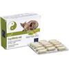CAMON SPA Camon Aequilibriavet 60 Compresse Integratori Per Animali