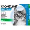 Frontline SPOT-ON Gatti 3PIP/10