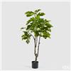 Enzo De Gasperi EDG Enzo De Gasperi Pianta Artificiale Ficus con Vaso H150 cm