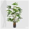 Enzo De Gasperi EDG Enzo De Gasperi Pianta Palma Rapisgracilis con Vaso H145 cm