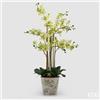 Enzo De Gasperi EDG Enzo De Gasperi Orchidea Phalaenopsis x8 con Bocciolo e Vaso H90 cm Verde