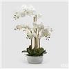 Enzo De Gasperi EDG Enzo De Gasperi Orchidea Phalaenopsis Real 7 fiori H84 cm Bianca