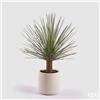 Enzo De Gasperi EDG Enzo De Gasperi pianta Yucca Con Vaso in Ceramica H99 cm