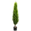 Gasper Pianta di Thuja Emerald con vaso H150 cm Verde