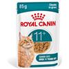 ROYAL CANIN AGEING 11+ Gravy | 12 x 85 g | Cibo umido per gatti senior a partire dagli 11 anni | Formula con il complesso HealthyAge7™ | Deliziosi bocconcini in salsa