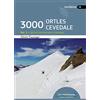 Synergia 3000 Ortles-Cevedale. Settori Meridionale e Orientale (Vol. 1)