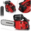 STAKMANN Motosega a scoppio Benzina 2 Tempi 25,4 cc Lama 30cm Taglia Legna Rami EasyStart