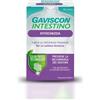RECKITT BENCKISER H.(IT.) SpA Gaviscon Intestino Stitichezza 30 Capsule - Integratore per la Regolarità Intestinale