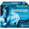 Candioli GASTROCURE 24 SIRINGHE PRERIEMPITE MANGIME COMPLEMENTARE IN PASTA CAVALLI