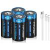 CITYORK Batterie ricaricabili al litio USB D, 1,5 V, 15000 mWh, batterie ricaricabili con cavo di ricarica di tipo C, confezione da 4