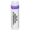 LABORATORIO SODINI Chamomilla Vulgaris 80 Granuli 30 Ch Contenitore Multidose