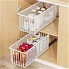Diealles Shine Cassetto Estraibile Cucina, Diealles Shine 2 Pezzi 41 x 16 x 15.3 CM Cassetti Scorrevoli per Cucina, Senza Bisogno di Trapano Cassetto Telescopico per Mobili da Cucinas