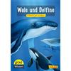 Jochen Windecke Pixi Wissen 8: VE 5 Wale und Delfine: Einfach gut er (Tascabile)